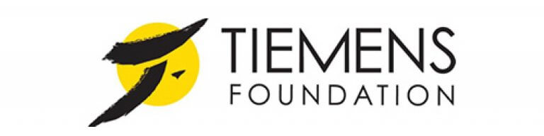 Tiemens Logo for Arts Vision